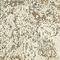 See color option for 9' x 12' Sahara Rug