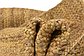Unique Loom 2' 6 x 6' Braided Jute Runner Rug thumbnail image 18
