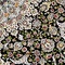 See color option for 5' x 7' 5 Dynasty Rug
