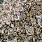 See color option for 3' 3 x 13' Dynasty Runner Rug