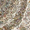 See color option for 8' 2 x 11' 6 Dynasty Rug