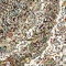 See color option for Unique Loom 6' 7 x 9' 10 Dynasty Rug