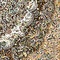 See color option for 8' 2 x 11' 6 Dynasty Rug