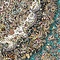 See color option for 8' 2 x 11' 6 Dynasty Rug