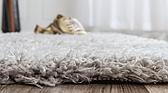 2' x 10' Marilyn Monroe™ Shag Runner Rug thumbnail