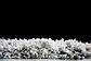 5' x 8' Marilyn Monroe™ Shag Rug thumbnail