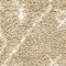 See color option for 5' x 8' Marrakesh Shag Rug