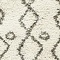 See color option for 5' x 8' Marrakesh Shag Rug