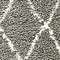 See color option for 4' x 6' Marrakesh Shag Rug