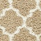 See color option for 4' x 6' Marrakesh Shag Rug