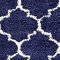 See color option for 8' x 10' Marrakesh Shag Rug