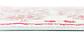 2' 7 x 10' Havana Runner Rug thumbnail