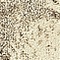See color option for 2' 2 x 6' 7 Capri Runner Rug
