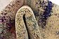 2' 7 x 10' Spectrum Runner Rug thumbnail image 19