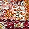 See color option for 2' x 6' 7 Alta Runner Rug