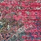 See color option for 9' x 12' Carnevale Rug