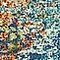 See color option for 2' x 6' 7 Arte Runner Rug