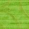 See color option for 8' x 10' Floral Frieze Rug