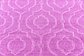 5' x 8' Trellis Frieze Rug thumbnail image 7