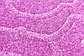 4' x 6' Trellis Frieze Rug thumbnail image 10
