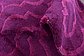 9' x 12' Trellis Frieze Rug thumbnail image 11
