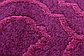 4' x 4' Trellis Frieze Round Rug thumbnail image 6