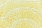 9' x 12' Trellis Frieze Rug thumbnail image 9