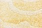 5' x 8' Trellis Frieze Rug thumbnail image 10