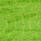See color option for 8' x 10' Trellis Frieze Rug