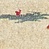 See color option for 2' 7 x 10' Tribe Runner Rug