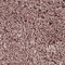See color option for Marilyn Monroe 2' x 3' Marilyn Monroe™ S...