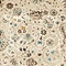 See color option for 6' x 6' Montreal Round Rug