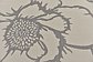 8' x 11' 4 Outdoor Botanical Rug thumbnail image 12