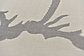 8' x 11' 4 Outdoor Botanical Rug thumbnail image 15