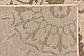 8' x 11' 4 Outdoor Botanical Rug thumbnail