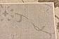 6' x 9' Outdoor Botanical Rug thumbnail