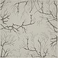 6' x 6' Outdoor Botanical Square Rug thumbnail image 1