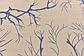 6' x 6' Outdoor Botanical Square Rug thumbnail