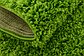 2' 2 x 6' Solid Shag Runner Rug thumbnail image 21
