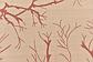 183cm x 183cm Outdoor Botanical Round Rug thumbnail image 4