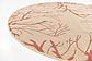 183cm x 183cm Outdoor Botanical Round Rug thumbnail image 5