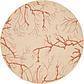 183cm x 183cm Outdoor Botanical Round Rug thumbnail image 1