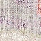 See color option for 2' 2 x 6' Downtown Runner Rug