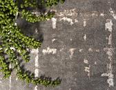 Jill Zarin 9' x 12' Uptown Collection Rug thumbnail