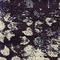 See color option for 8' x 8' Arte Round Rug