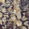 Link to variation of this rug: SKU#3141282