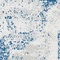 See color option for 6' x 9' Monaco Rug