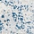 See color option for 3' 3 x 16' 5 Monaco Runner Rug