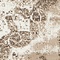 See color option for 7' x 10' Monaco Rug