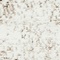See color option for 2' 2 x 3' Monte Carlo Rug